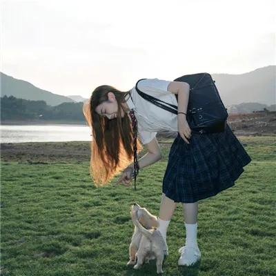 狐狸女士第二季